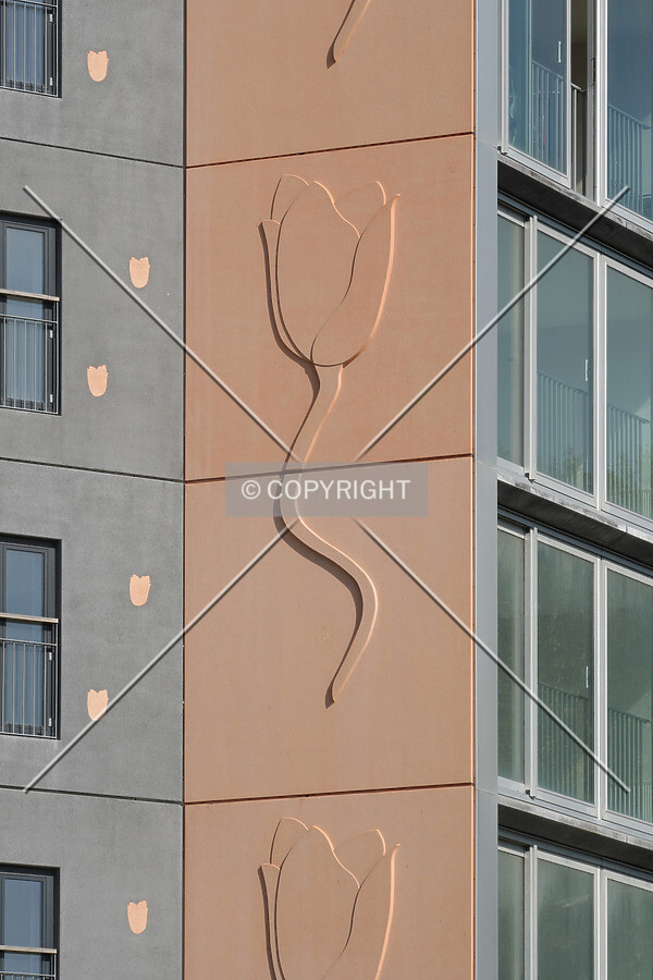 Embossed tulip on the facade