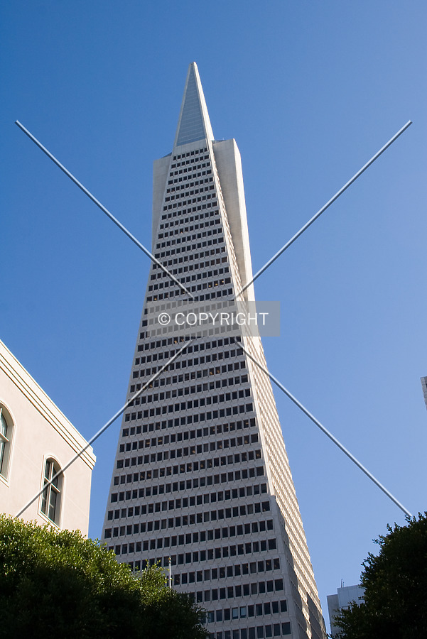 Photo 276-772-732