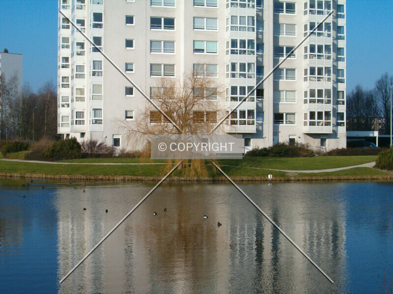 Photo 862-808-017