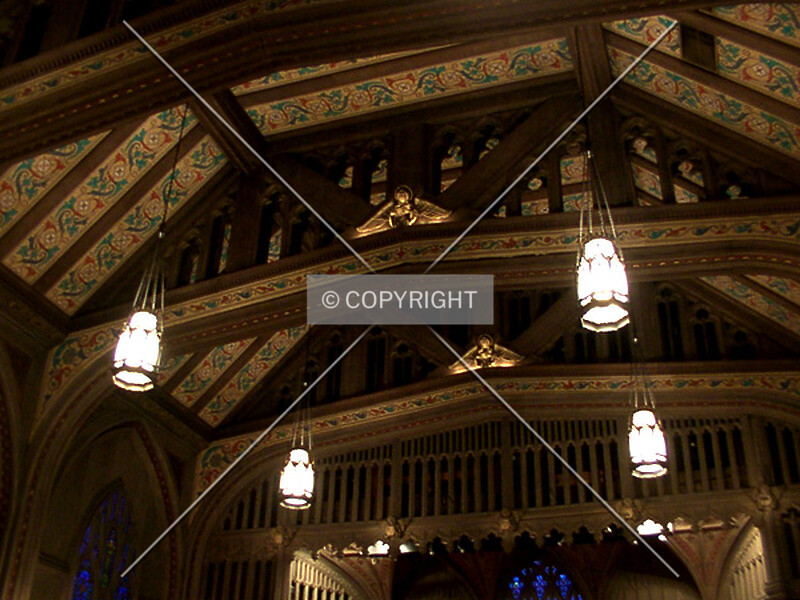 Photo 869-101-966