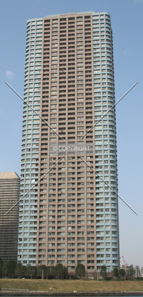 Photo 197-528-461