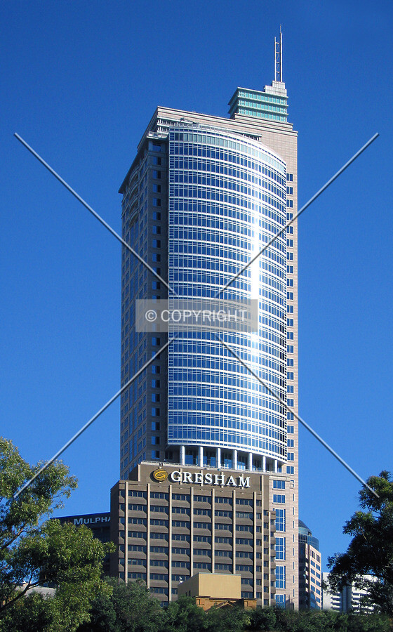 View from the Domain