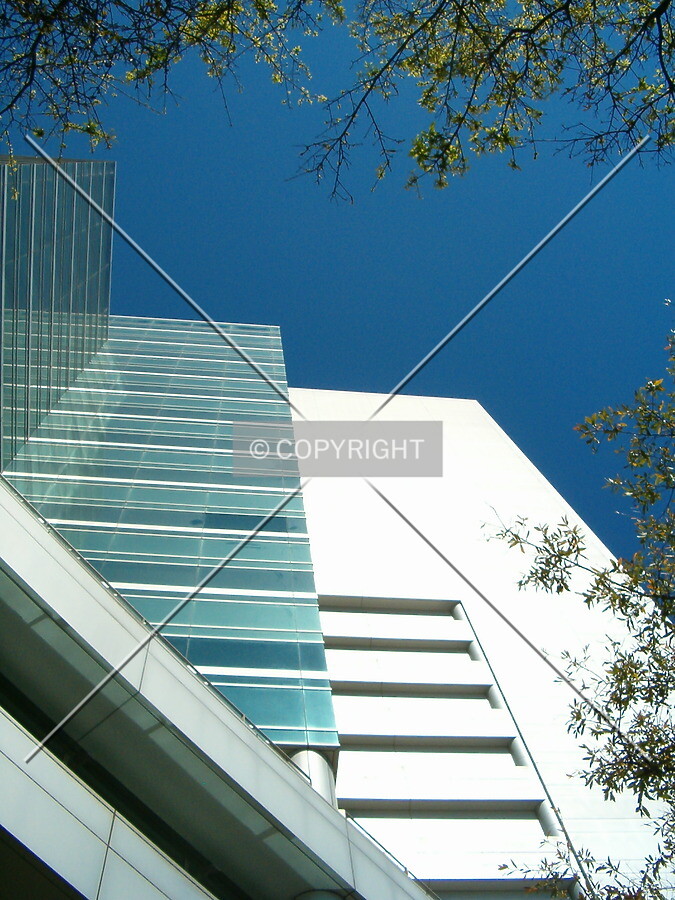 View from Mary Street
