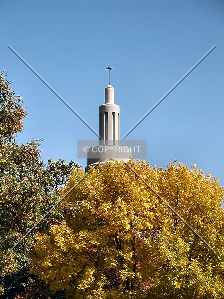 Photo 878-211-462