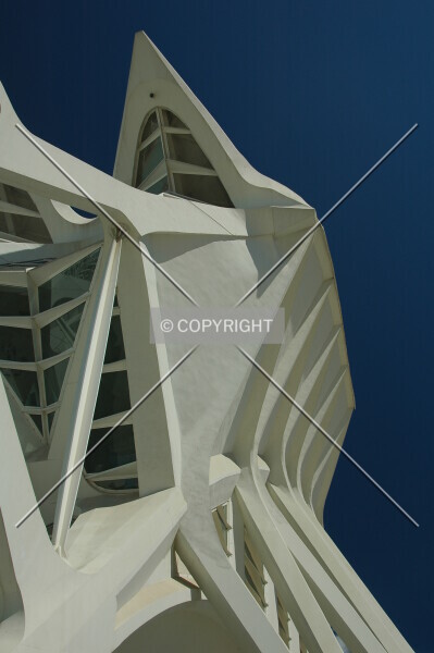 Photo 882-202-221