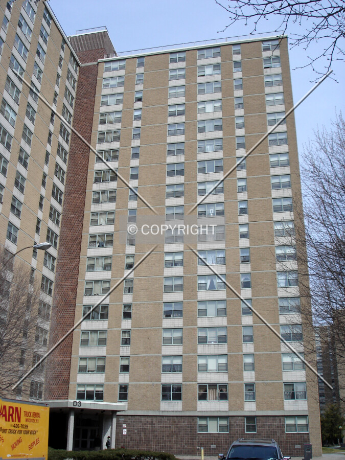 Looking up from Delmar