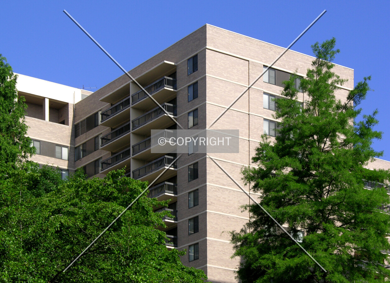 From across Crystal Drive to the southeast