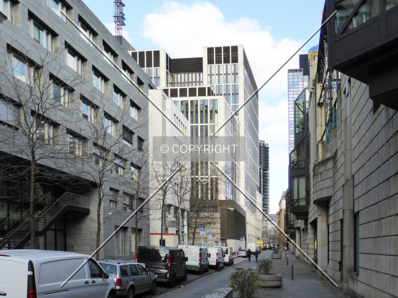 Photo 891-875-410