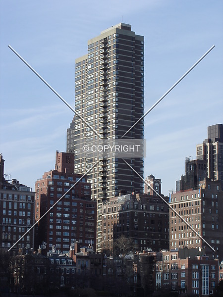 Photo 896-428-264