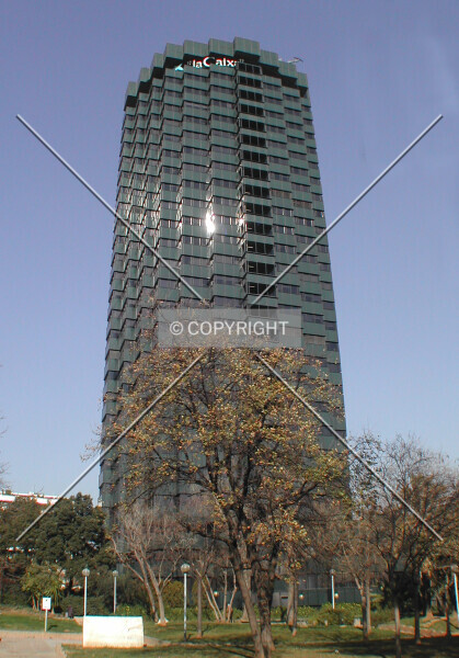 Photo 898-191-846