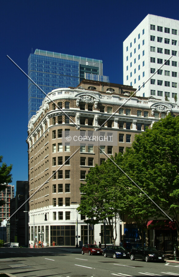 View from the south