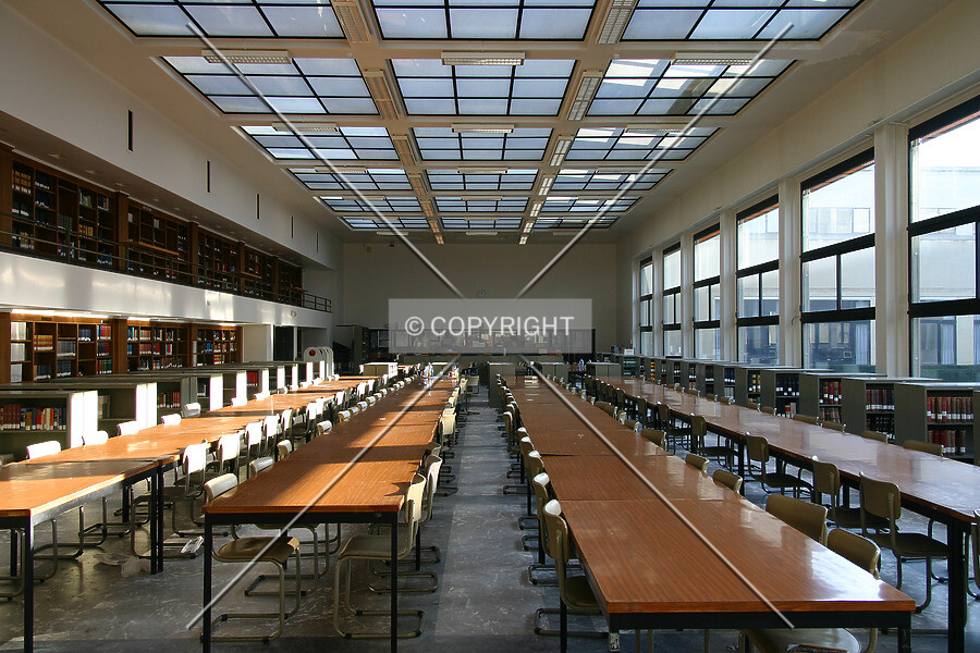 Photo 905-200-217