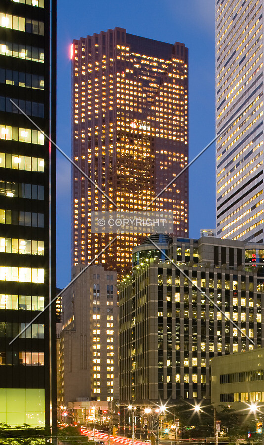 Evening view