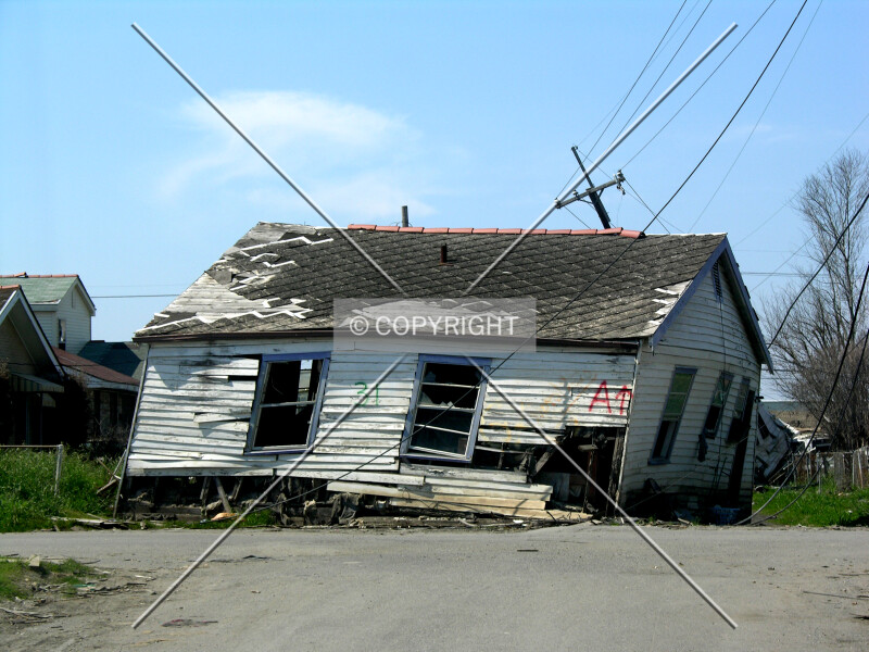 Photo 911-732-659