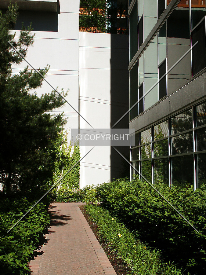 Path to the entrance