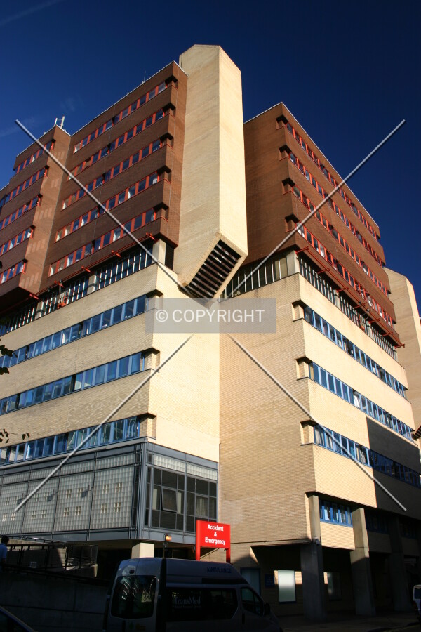 Looking up from South Wharf Road