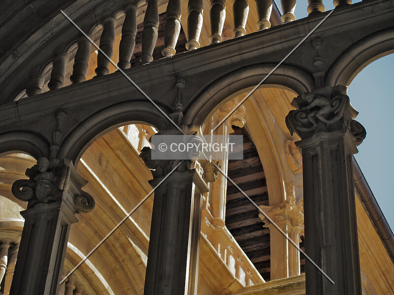 Photo 917-179-530