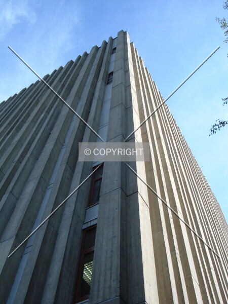 Photo 917-556-514