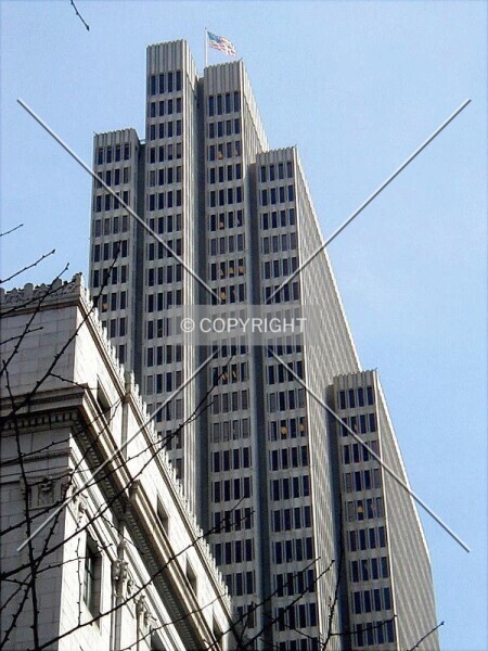 Photo 245-555-394