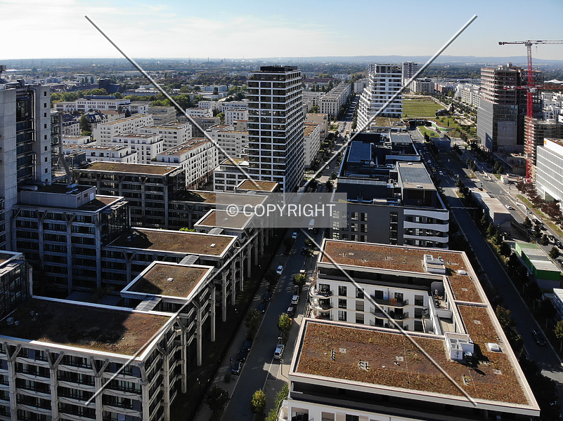 Photo 920-602-742