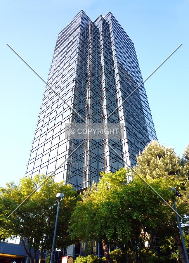 Looking up from the plaza