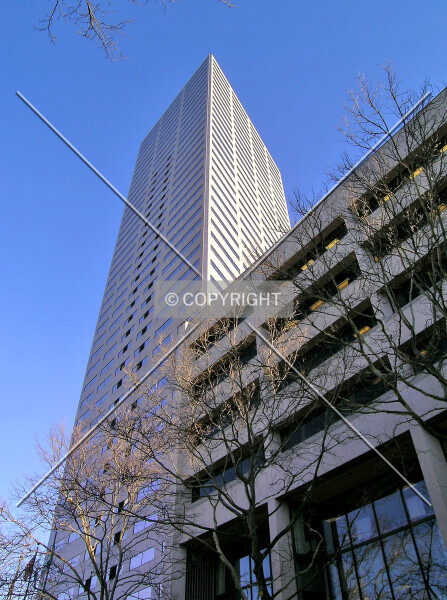 Photo 922-376-173