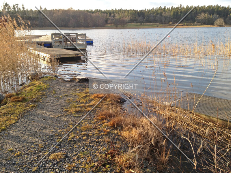 Photo 923-294-980