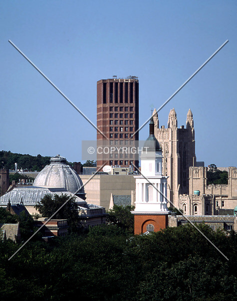 Photo 928-297-946
