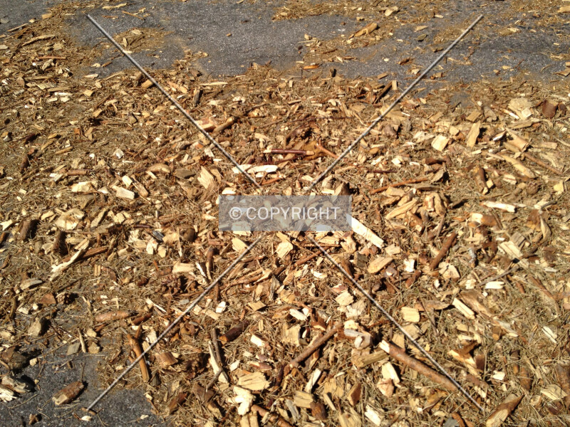 Photo 930-824-550