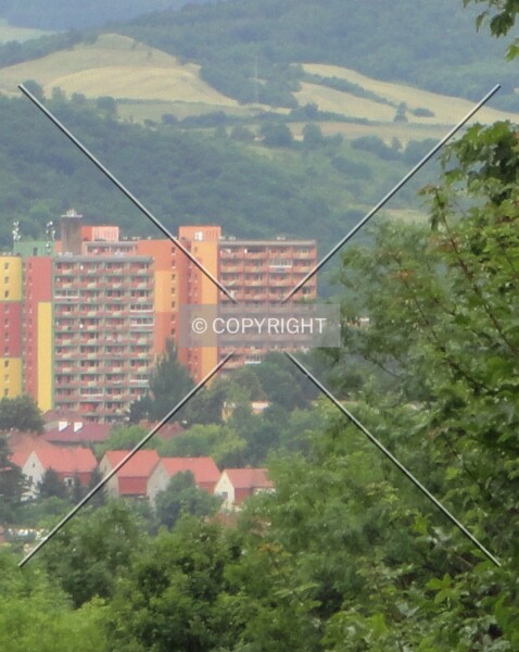 Aléská 255