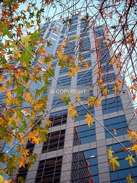 Photo 937-973-559