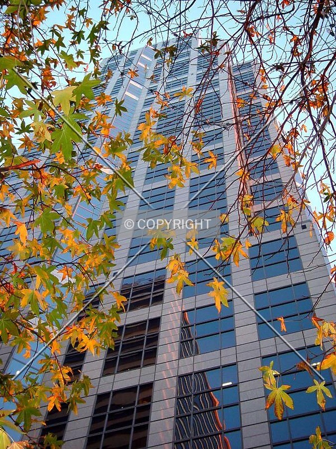 Rising beyond the late fall colors