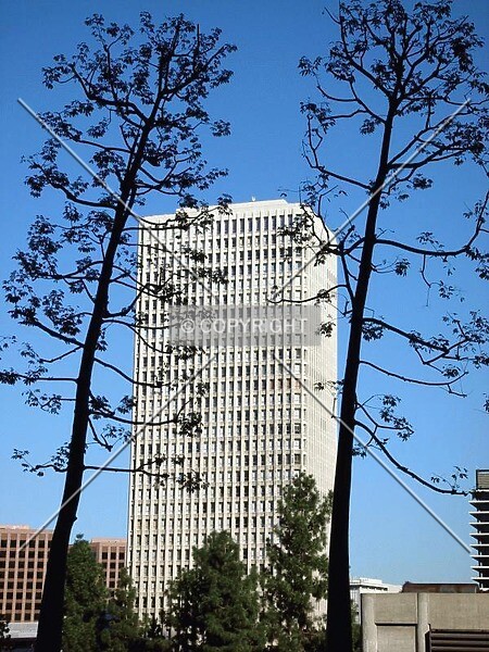 Photo 940-947-204