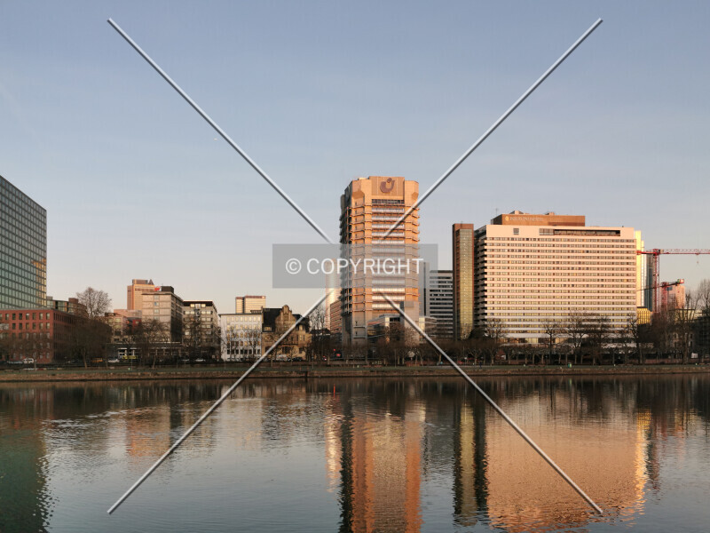 Photo 942-262-305