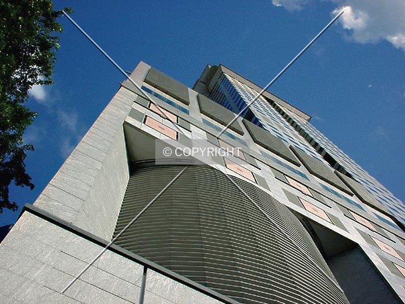 Photo 942-272-958