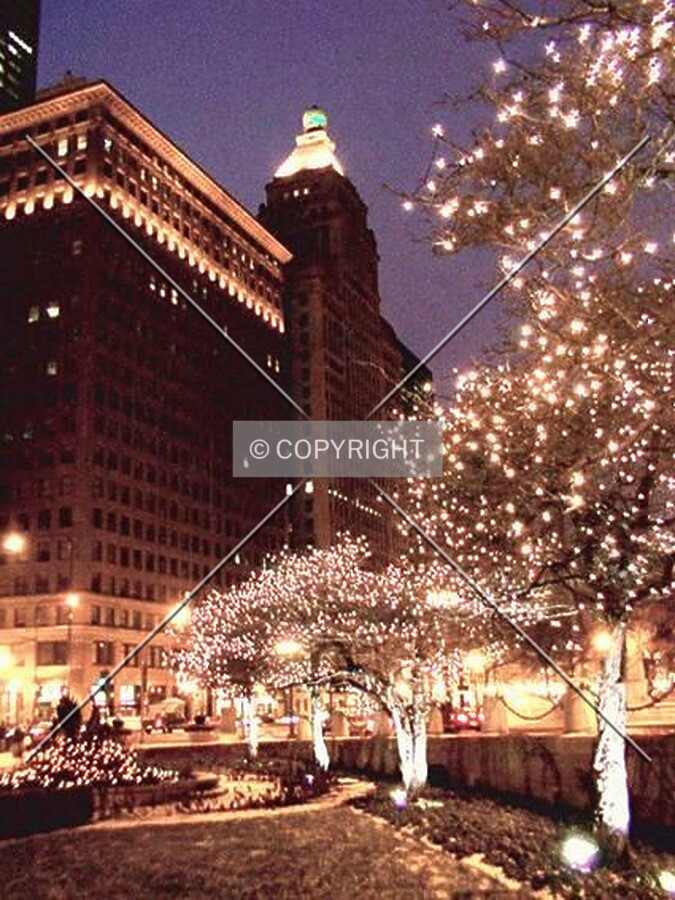 Night view during Christmas season