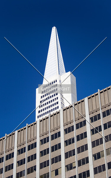 Photo 949-198-864