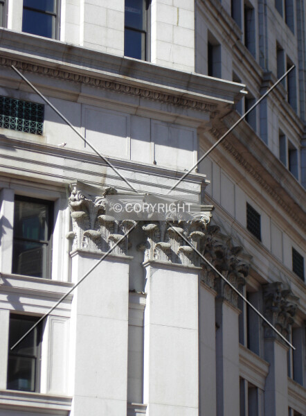 Photo 949-899-749