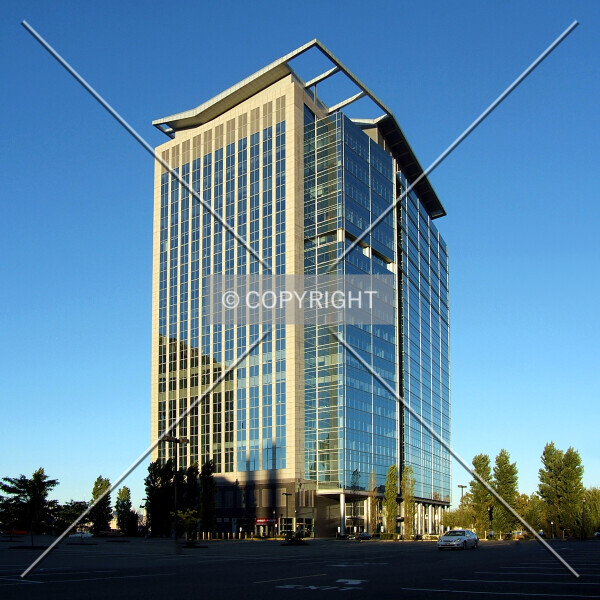 Photo 950-169-980