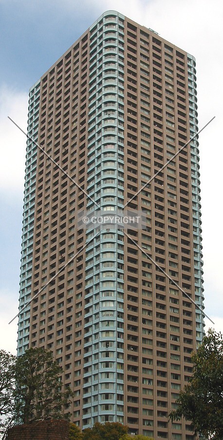 View from the southwest