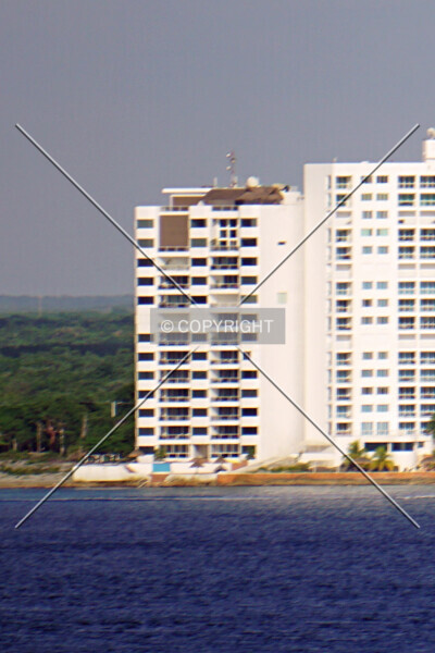 Palmas Reales Condos