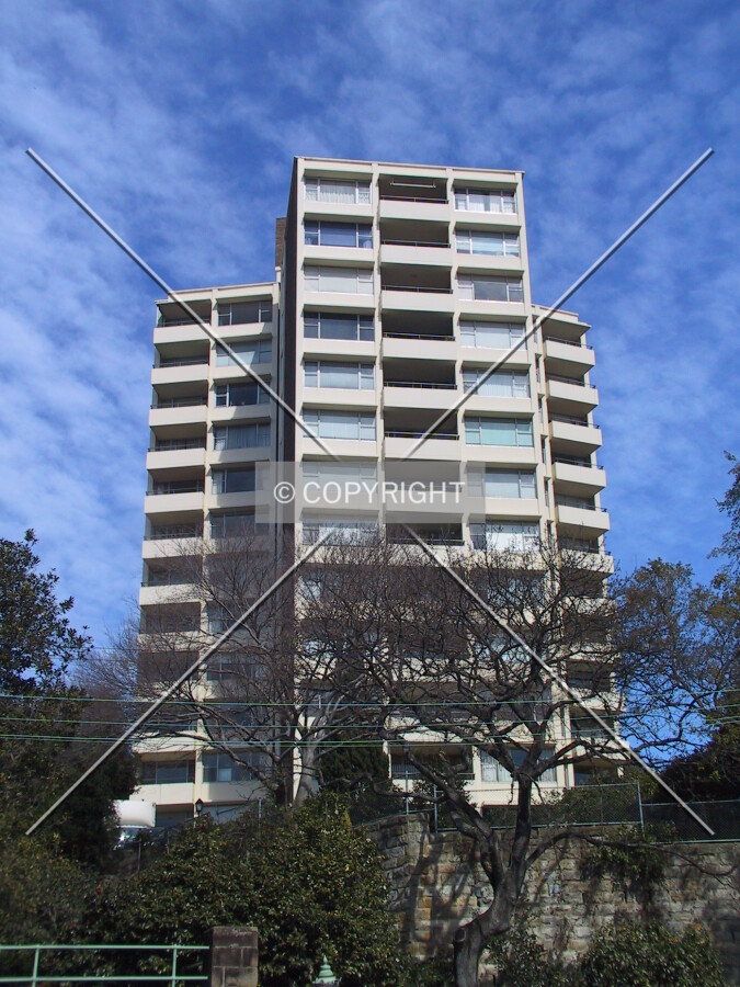 View from Edgecliff Road