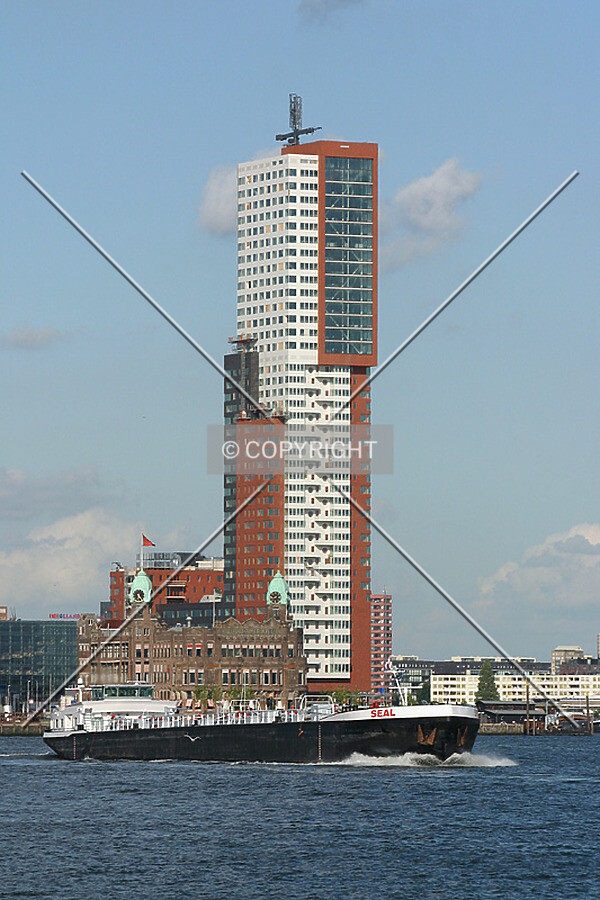 View from Müllerpier