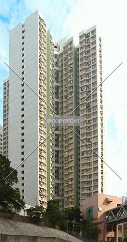 View from Yiu Hing Road