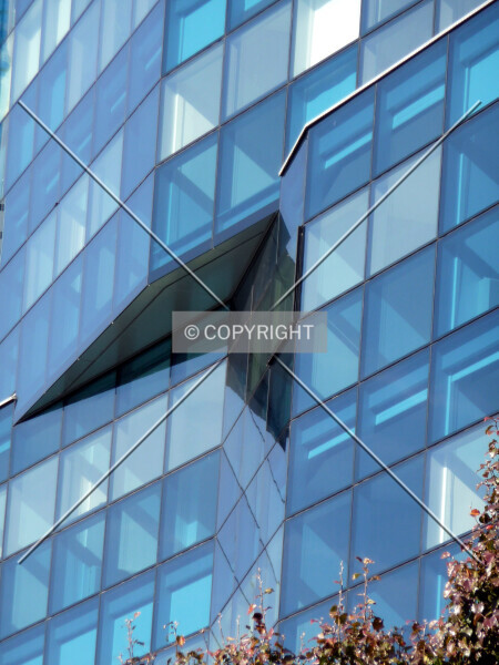 Photo 164-246-804