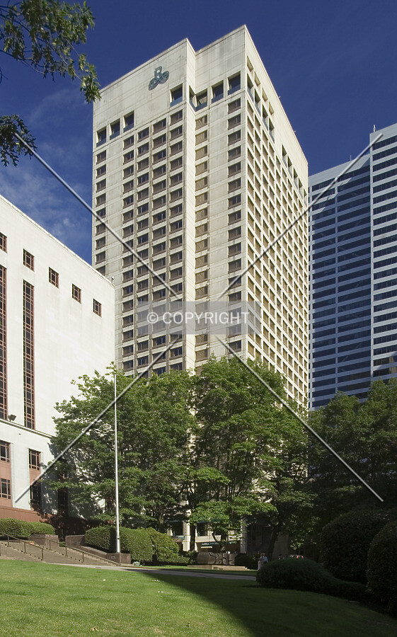 View from the northwest