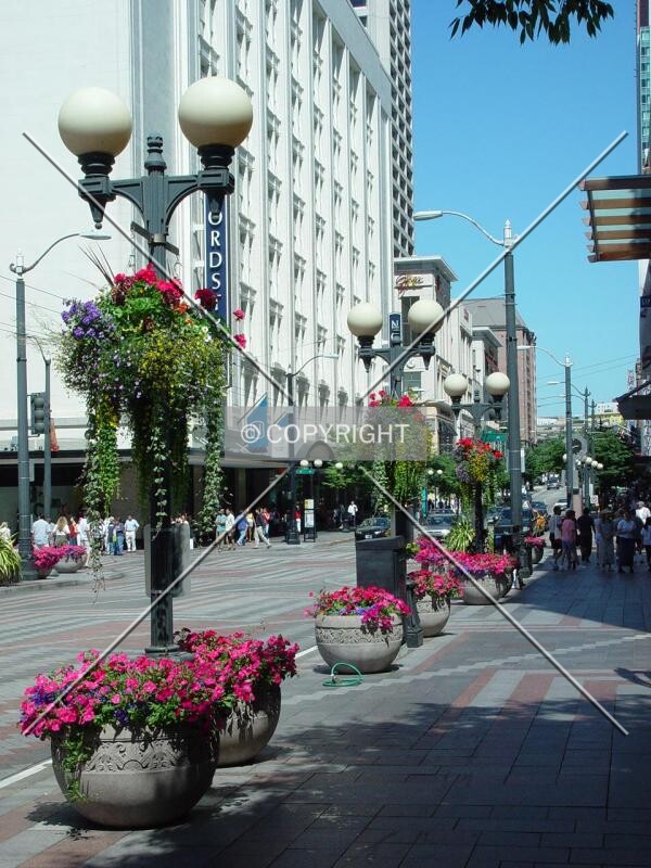 East up Pine Street