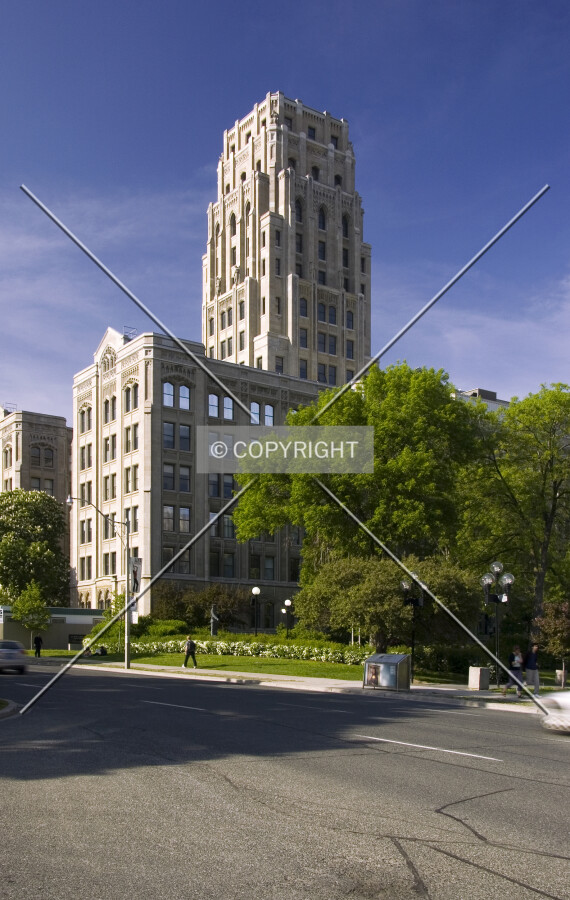 View from Queen's Park