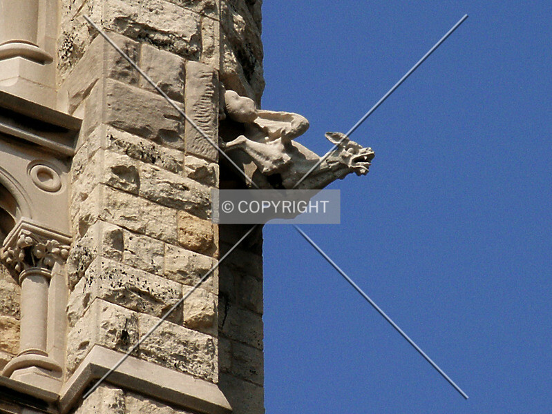 Photo 967-174-556