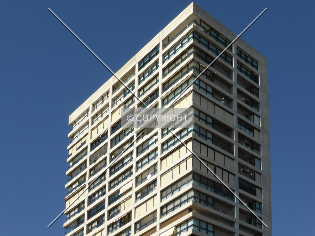 Photo 968-898-364